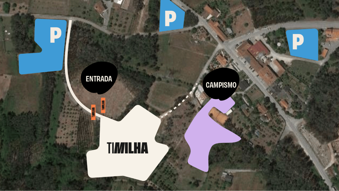 Área Festival