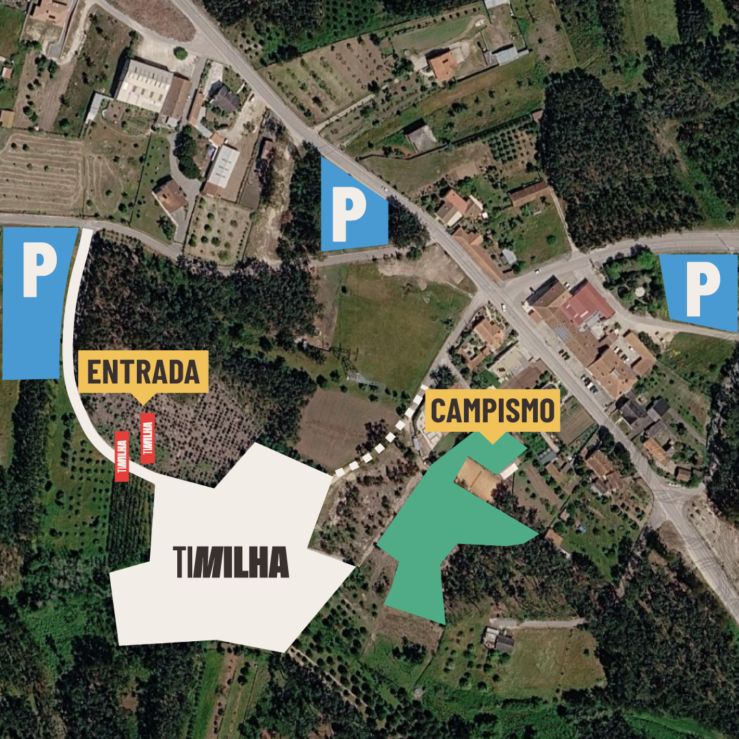 Área Festival